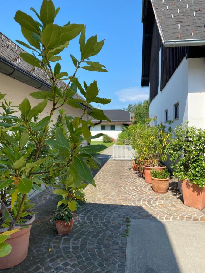 V Gemuetliches Gartenhaus Sankt Michael ob Bleiburg Exterior photo